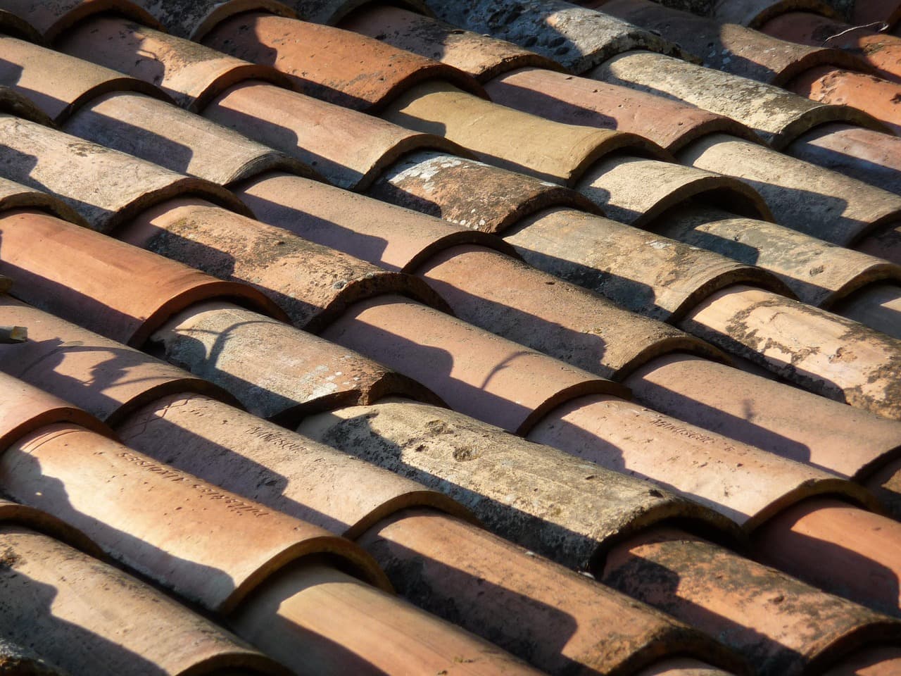 Close view of curved terracotta roof tiles